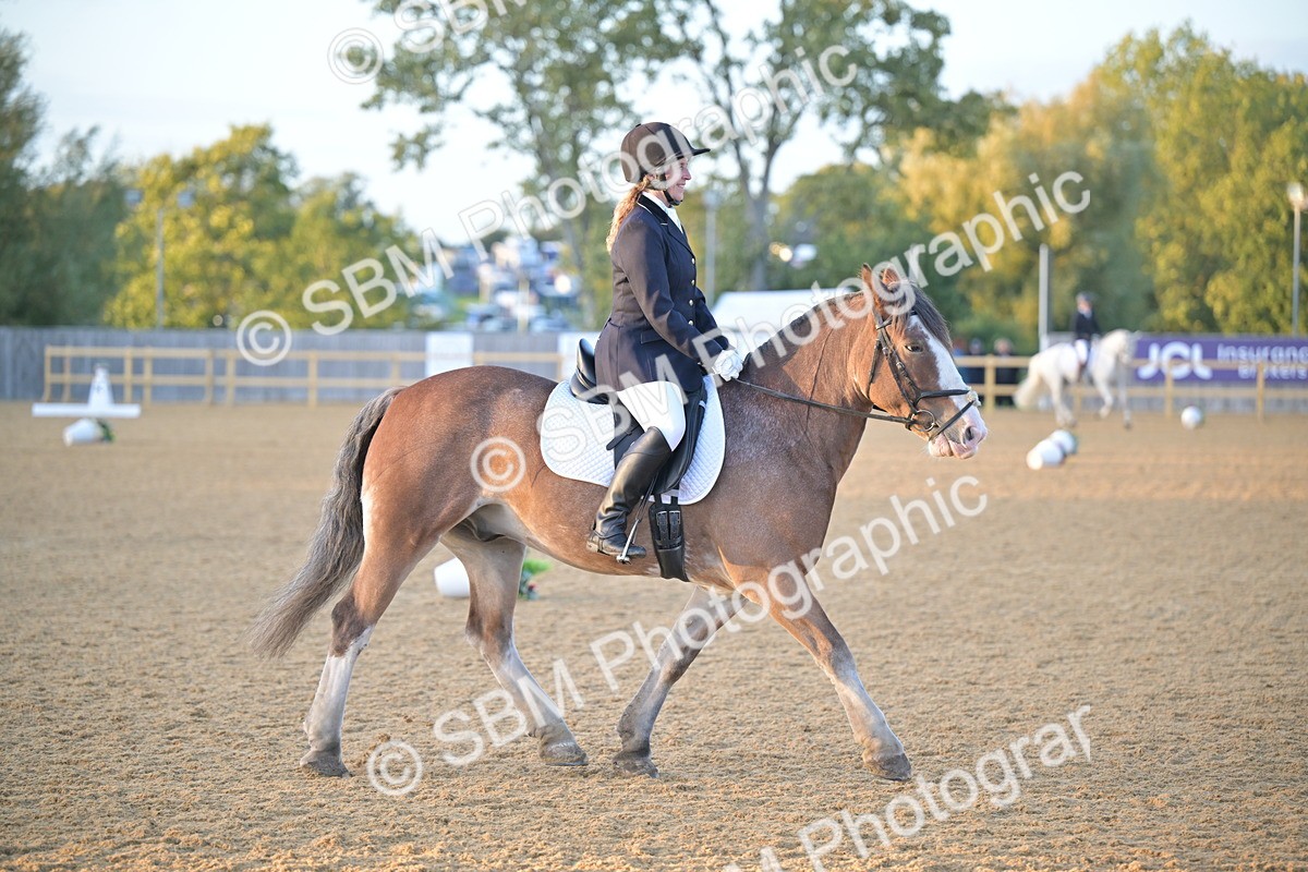 SBM_13528 - D3 - Small Tour Championship Intro 3