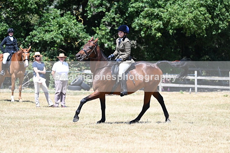 WJ7_3123 - Class 7 Riding Club Show Horse