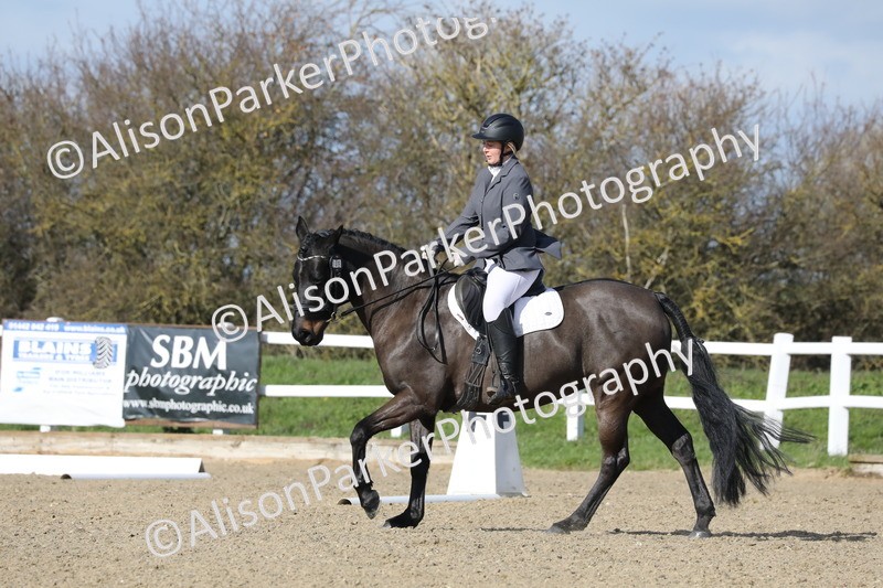 20260314-4865 - CT6 - Elementary 1