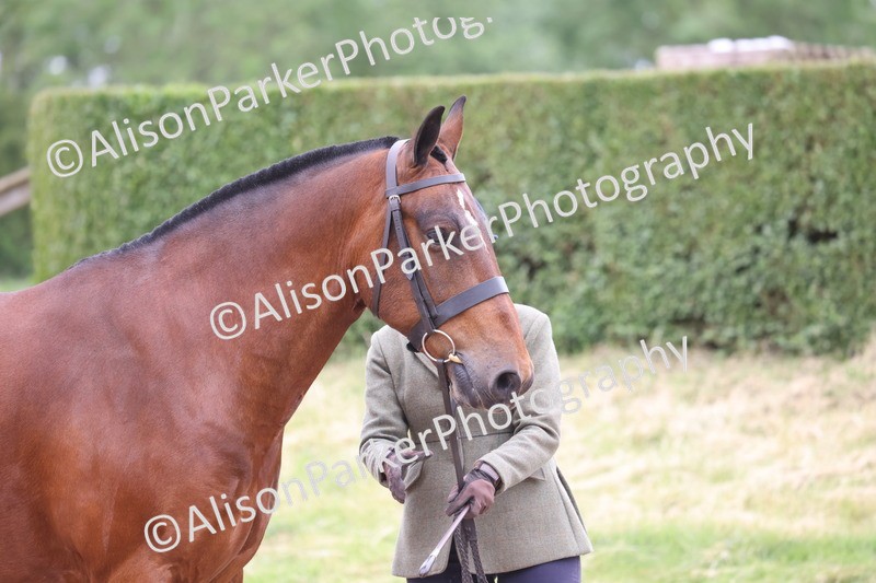 20250524-0969 - Class 9 - Cob and Hunter