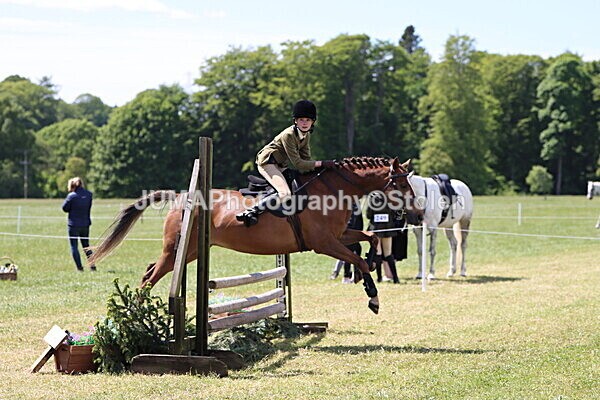 IMG_3622 - Working Hunter