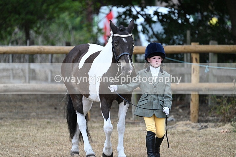 WJ7_9436 - Class 5 Most Handsome Gelding (up to 14.2hh)