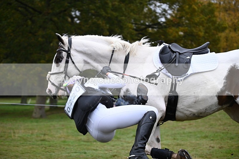 WJ6_3524 - 90cm Cam 1 Time 13:07 to 13:34