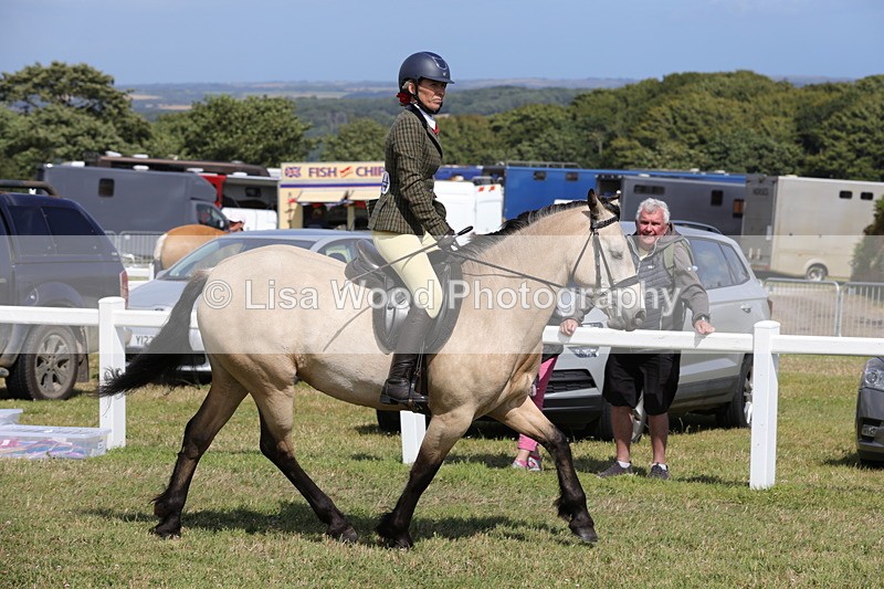 1X9A5533 - Class 38: NPS Novice Ridden Small and Large Breeds