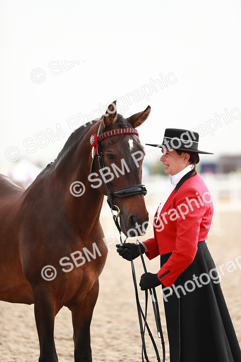 SBM_09558 - Class 201 Best Turned Out IH