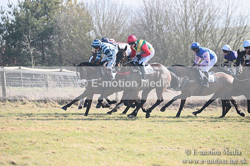 PtP 230219 47 - Vine & Craven Point-To-Point - Barbury 23/02/19