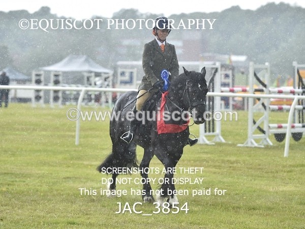 JAC_3854 - 65cm WORKING HUNTER