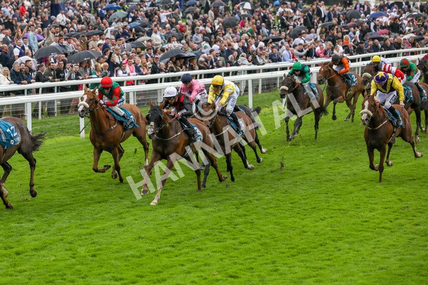 130724-Race 1-Blue For You-1939 - Race 1 2.00pm John Smith's Racing Handicap