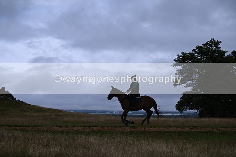DSC_3746 - Time at Statue 13:51 to 14:55