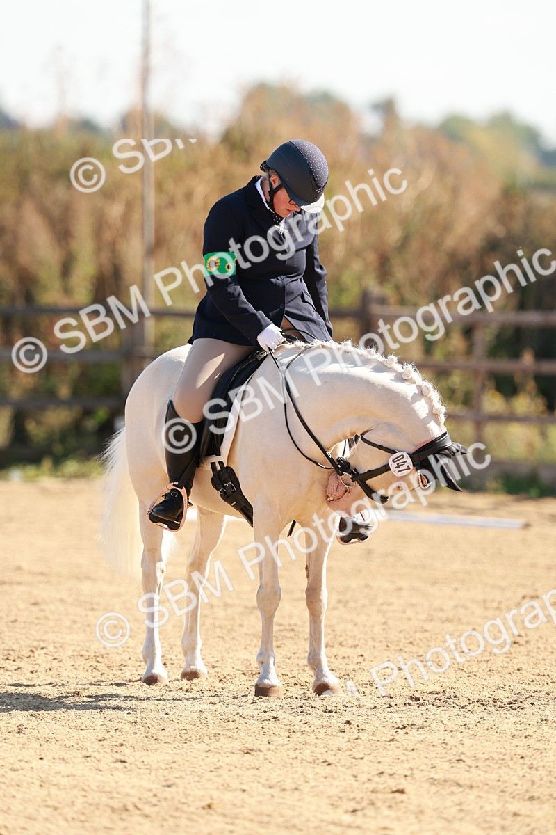 SBM_009313 - Class 2 - Intro 3