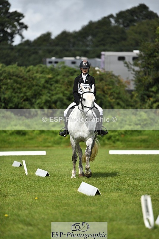 230826-105336-15642 - Sections C & D 10 to End