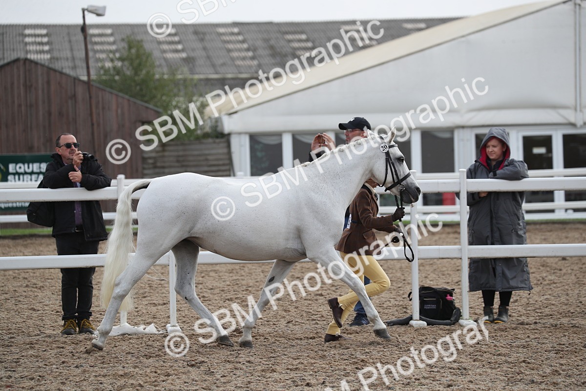 SBM_23084 - Class 605 - 2025 Area - IH Veteran