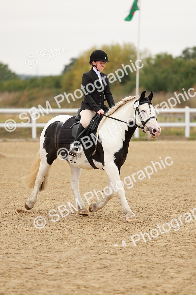 SBM_007135 - Class 2 - 50cm