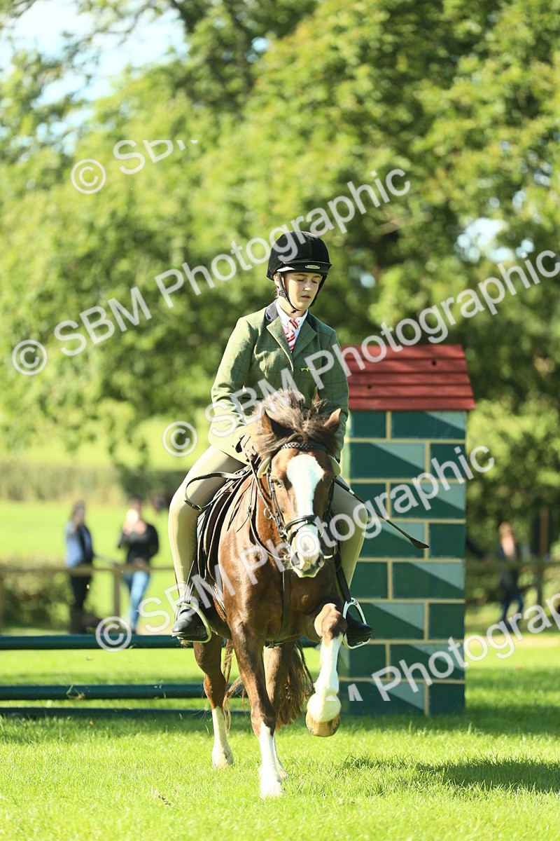 SBM_37471 - S29 - Novice & Newcomers Working Hunter Pony