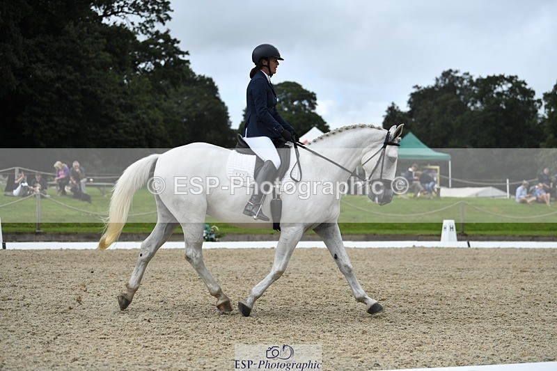 230812-125212-04234 - Cls 6 Novice Silver 12.10 to End