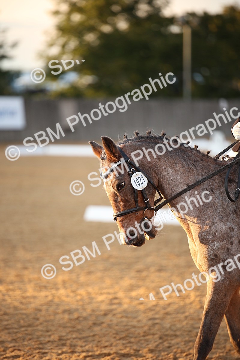 SBM_13354 - D3 Small  Tour Championship Intro A