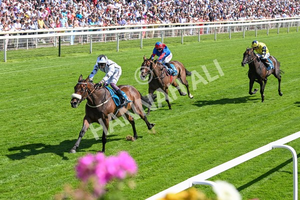120725-Race 4-Al Qareem-5794 - Race 4 3.45pm John Smith's Silver Cup Stakes