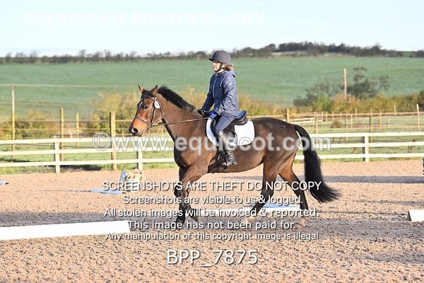 BPP_7875 - LONG ARENA