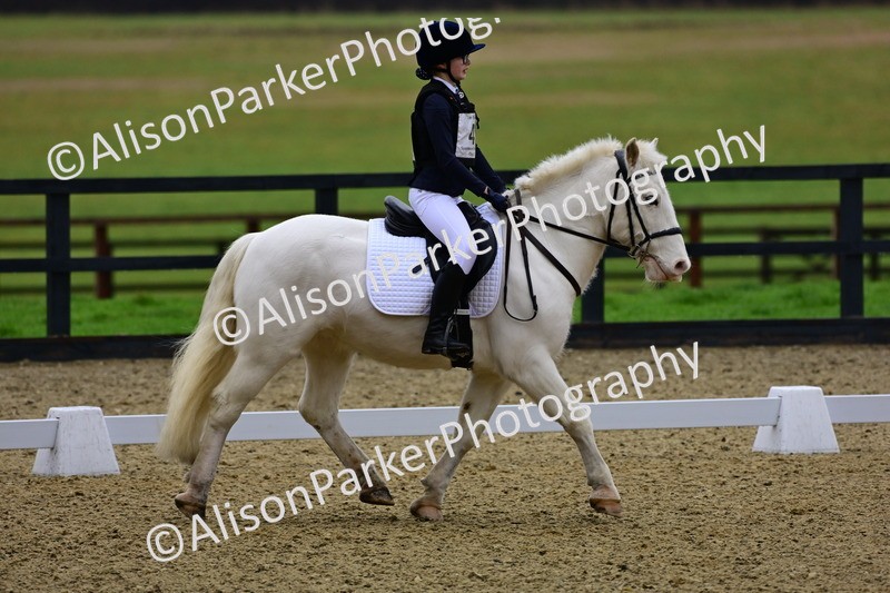 20260125-0580 - Class 9b - Walk Trot Unassisted