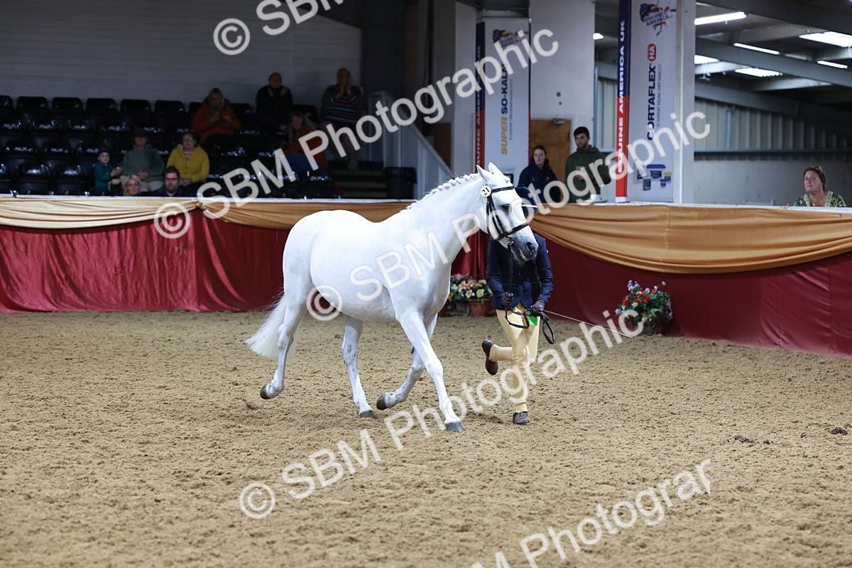 SBM_19973 - Class A - Junior Champ 10yr and Under