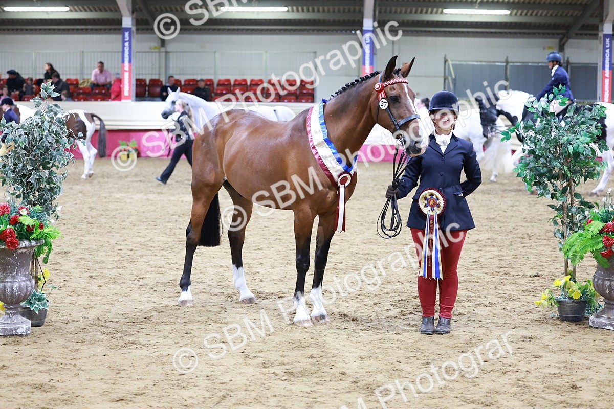 SBM_20149 - Class C - Novalty Champ