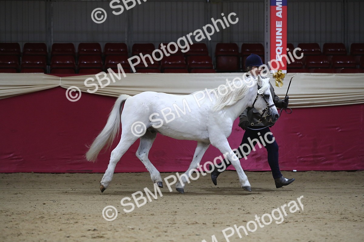 SBM_00219 - Class 1a - Area IH Diamond