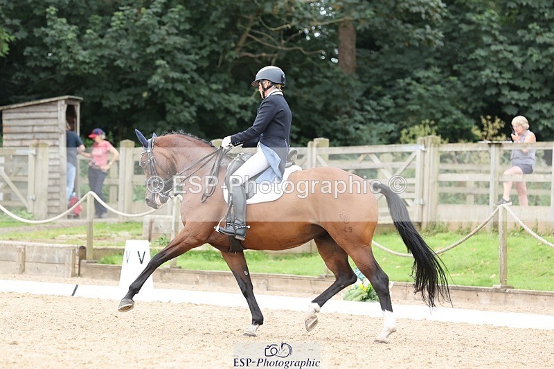 240810-151613-03949 - 231-Louise.Hutchinson-Donnarella