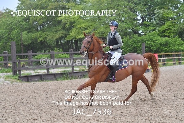 JAC_7536 - CLASS 14  Senior Newcomers/ 1.10m Open