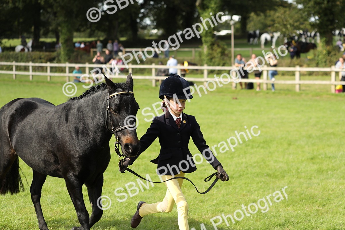 SBM_68583 - S40 - Junior Handler 9-12 Years
