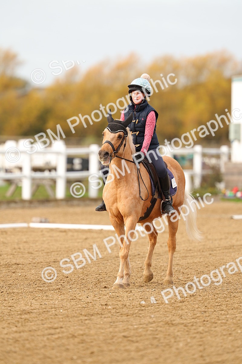 SBM_000236 - Class 2-11 - CT Intro 3 60cm - DR Intro 3