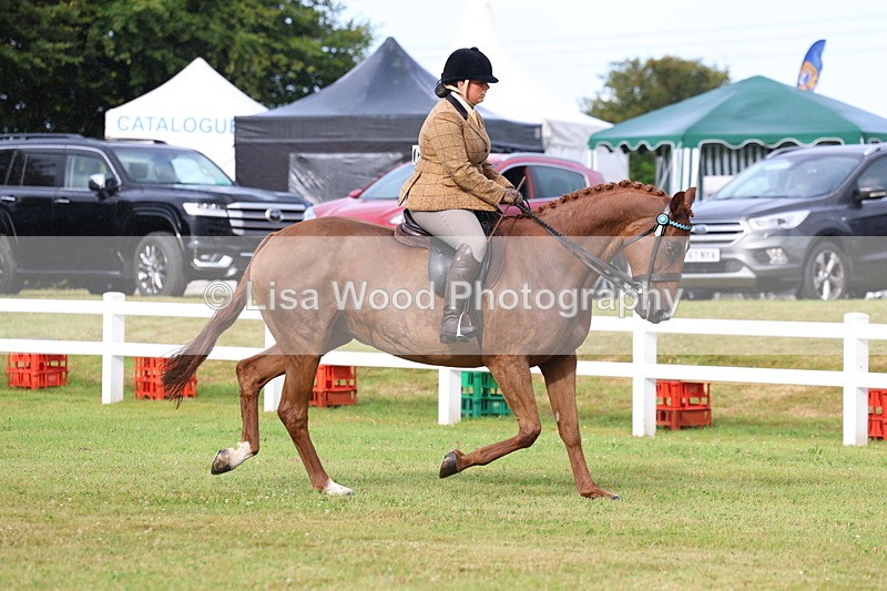 3E7A7988 - Class 2: Rising Star Large Hack/Riding Horse