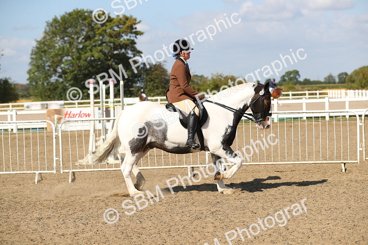 SBM_03141 - Class 44 Riding Club Horse/ Pony