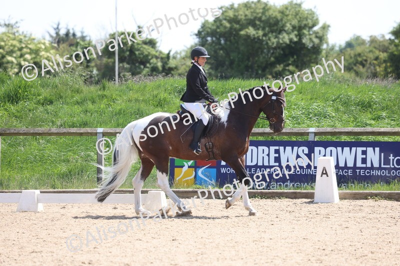 20250520-0817 - Class 5 - Novice 2