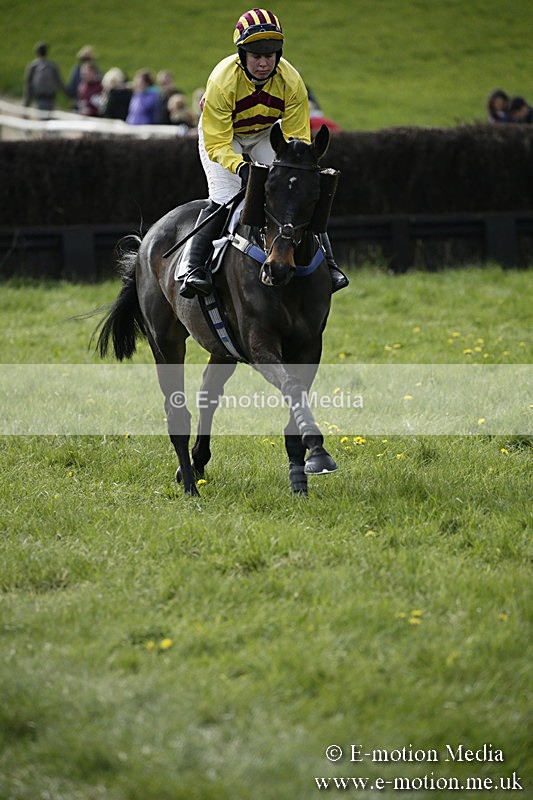 PtP 170417 436 - Old Berks Point-to-Point Lockinge 17/04/17