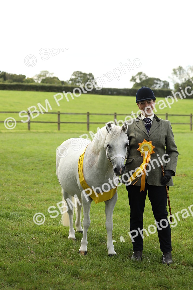 SBM_62840 - S46 - Mountain & Moorland In Hand Small Breeds