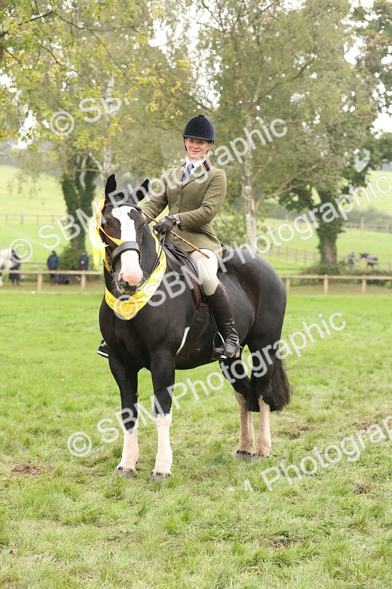 SBM_69865 - S69 - Show Cob Ridden