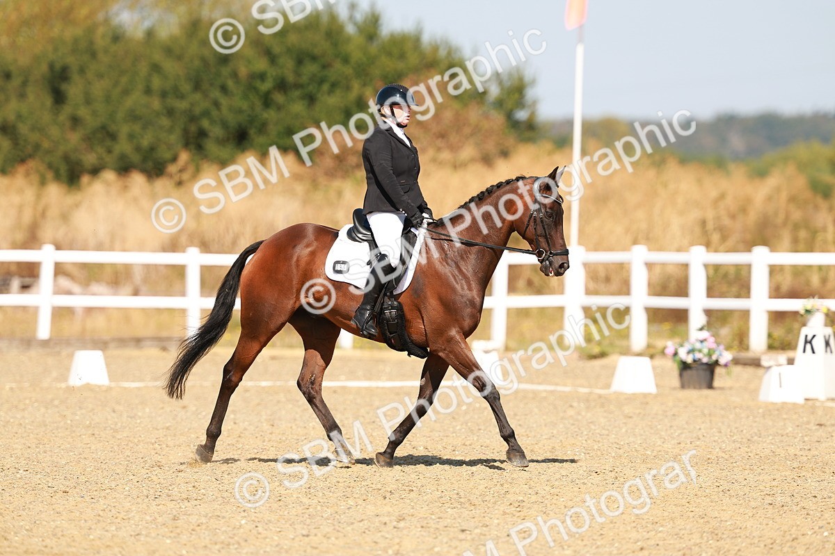 SBM_017739 - Class 9 - N5 Bronze 10.33.11.36