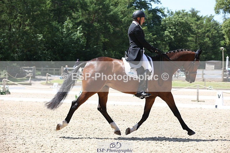 230526-124644-06251 - 162-MONBEG_GOLD_DUST-Michael_Owen-WEDTrotUp+DR