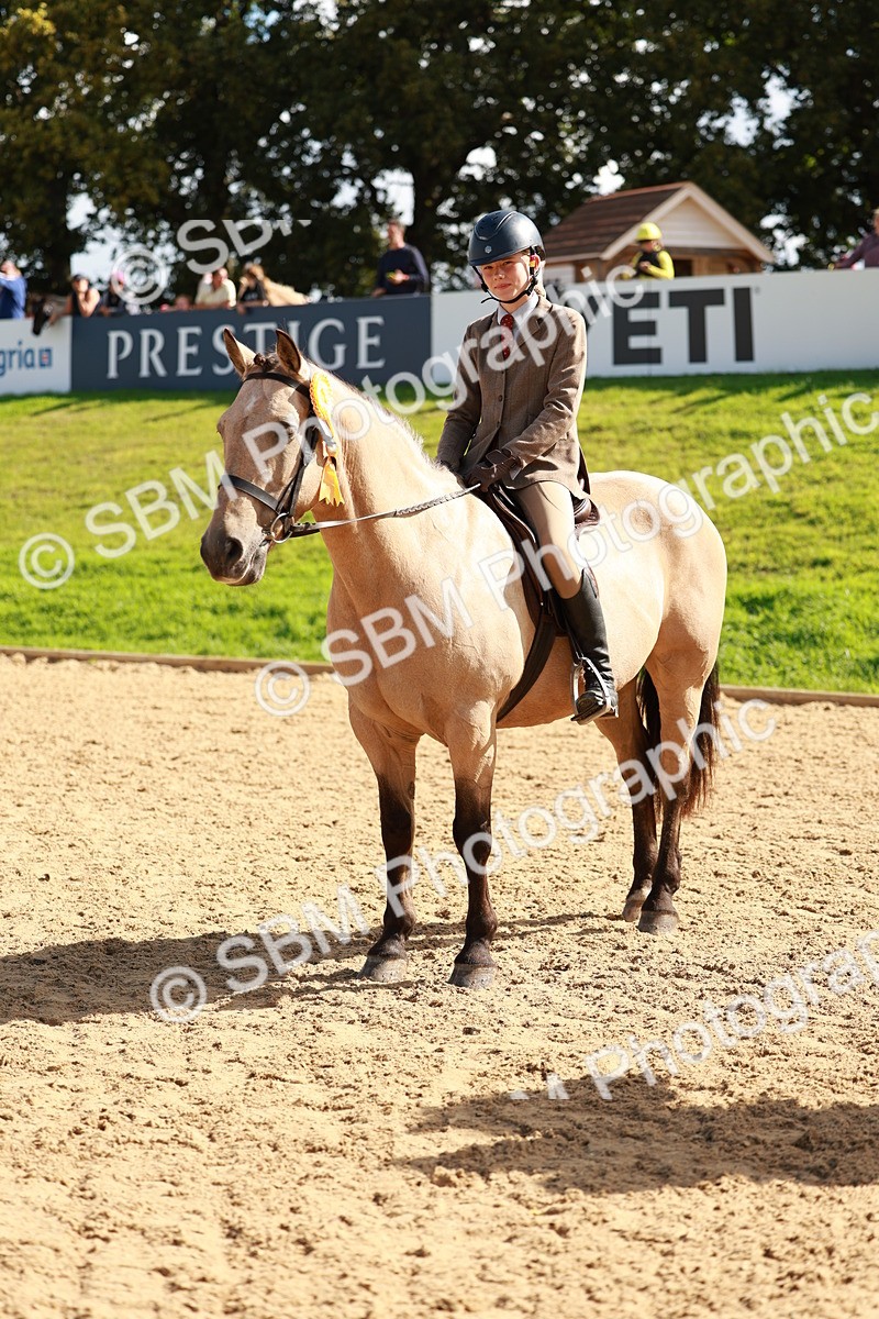 SBM_17451 - E4b - Eventers Challenge 60cm Open