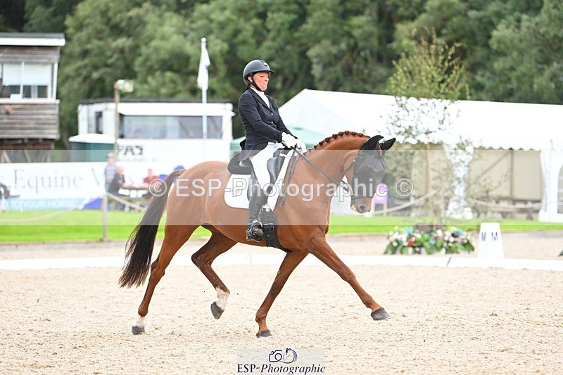 230813-143010-07775 - Cls 13 Medium Bronze 13.15 to End