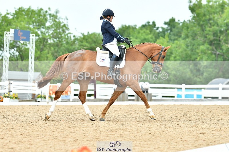 230701A-133705-06516 - Cls 10 Medium 69