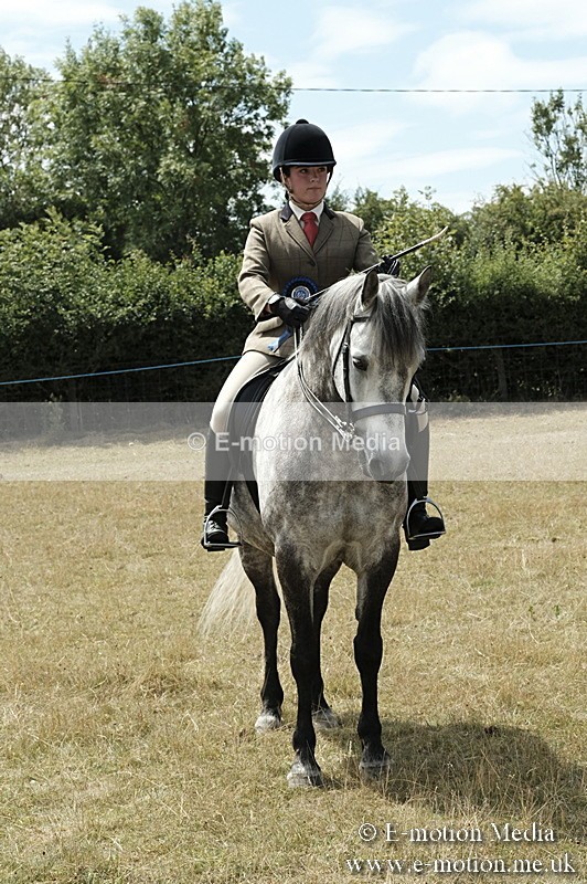 _PJP5993 - BVRC Show 2018 Ring 1