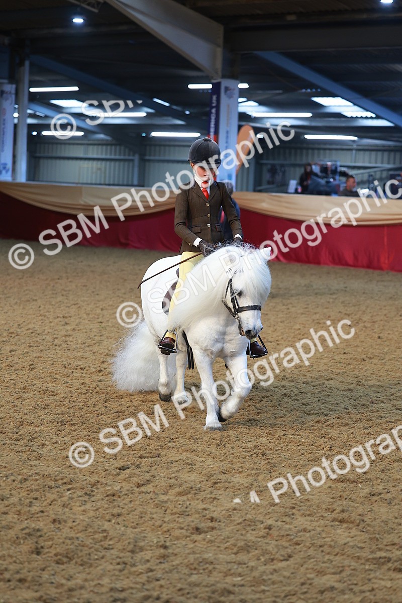 SBM_09421 - Class 102 - HOYS Veteran Qualifier - Ridden Veteran