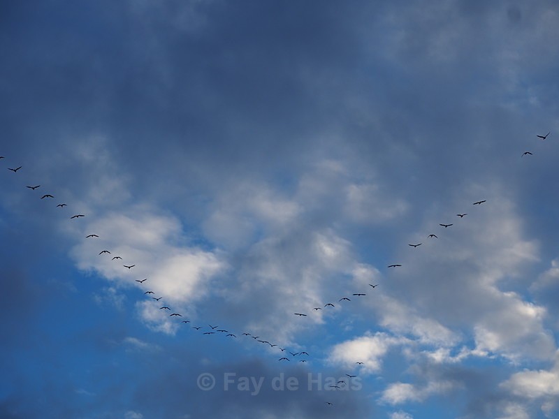 P1130032 - Schiphol Skies