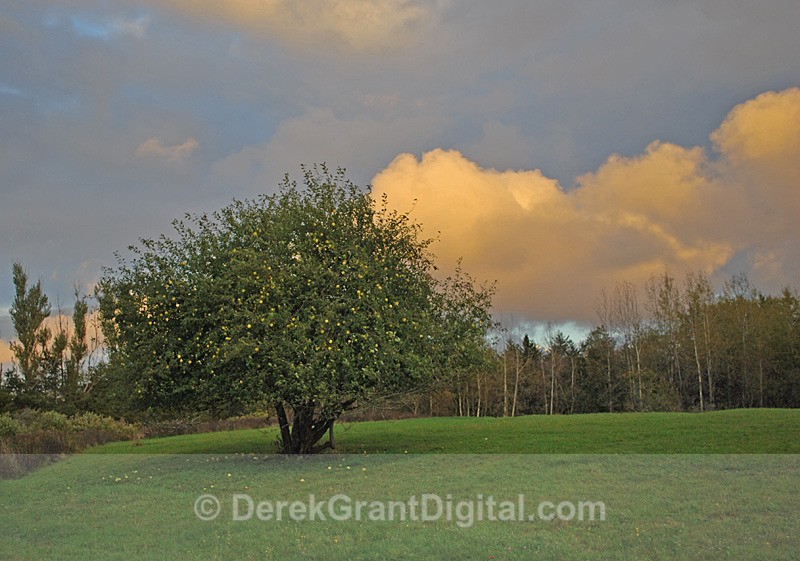 Stormy Sky - New Brunswick Landscape
