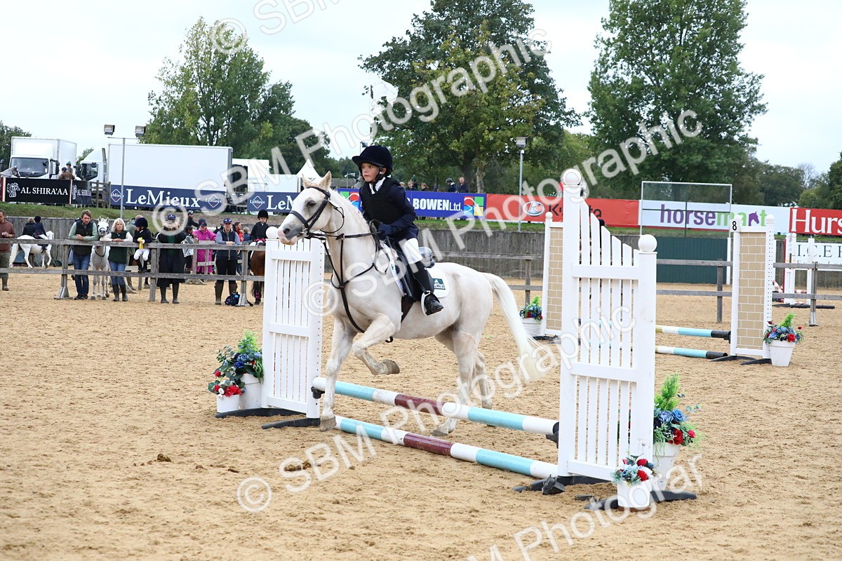 SBM_68296 - J3b - Mini Tour Junior Pony 40cm Championship