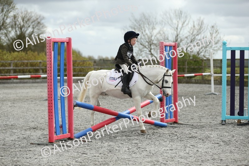 20260412-0705 - Show Jumping