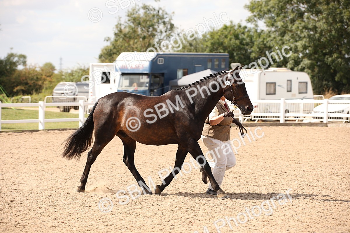 SBM_04539 - Class 20 IH Veteran