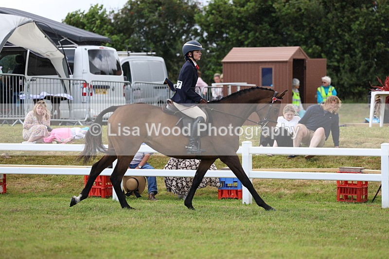 3E7A2347 - Class 11: Retraining of Racehorse