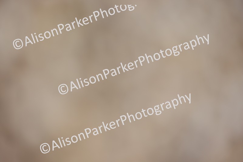 20260912-0691 - Class 5 - Novice 1